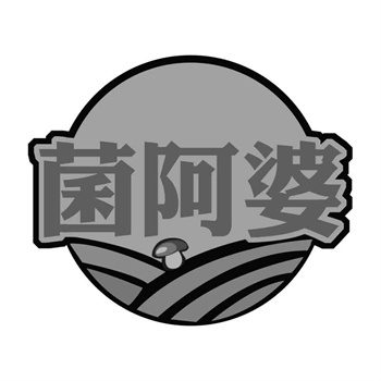 商标广告市场的前景展望是什么？