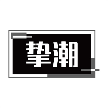 第11类“挚潮”商标购买指南